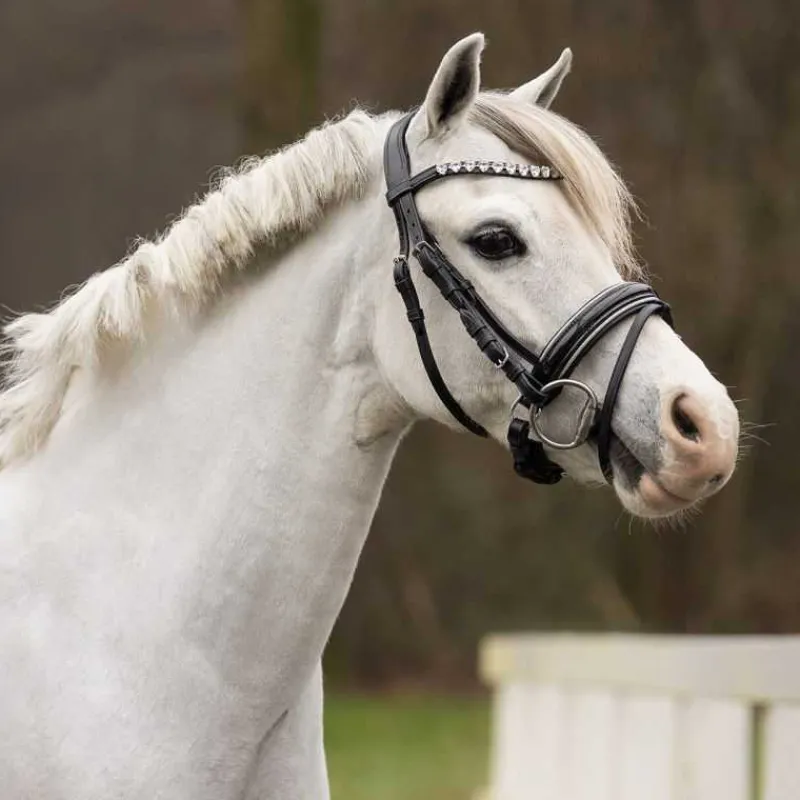 QHP Bridon poney Brixie> Bridon