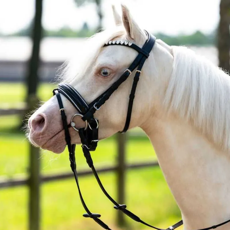 QHP Bridon poney Brixie> Bridon