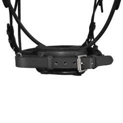 STATIONATA Bridon Pull-Back Cuir Souple><noscript><img data-lazyloaded=