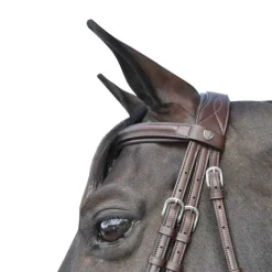 FLAGS&CUP Bridon pull-back Hickstead> Bridon
