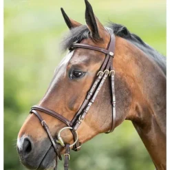 HFI Bridon Regular Master> Bridon