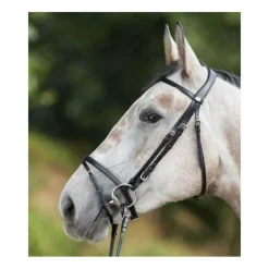HFI Bridon Regular Master> Bridon