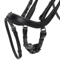 QHP Bridon Salerno><noscript><img data-lazyloaded=