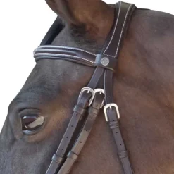 CANTER Bridon surpiqué combiné><noscript><img data-lazyloaded=