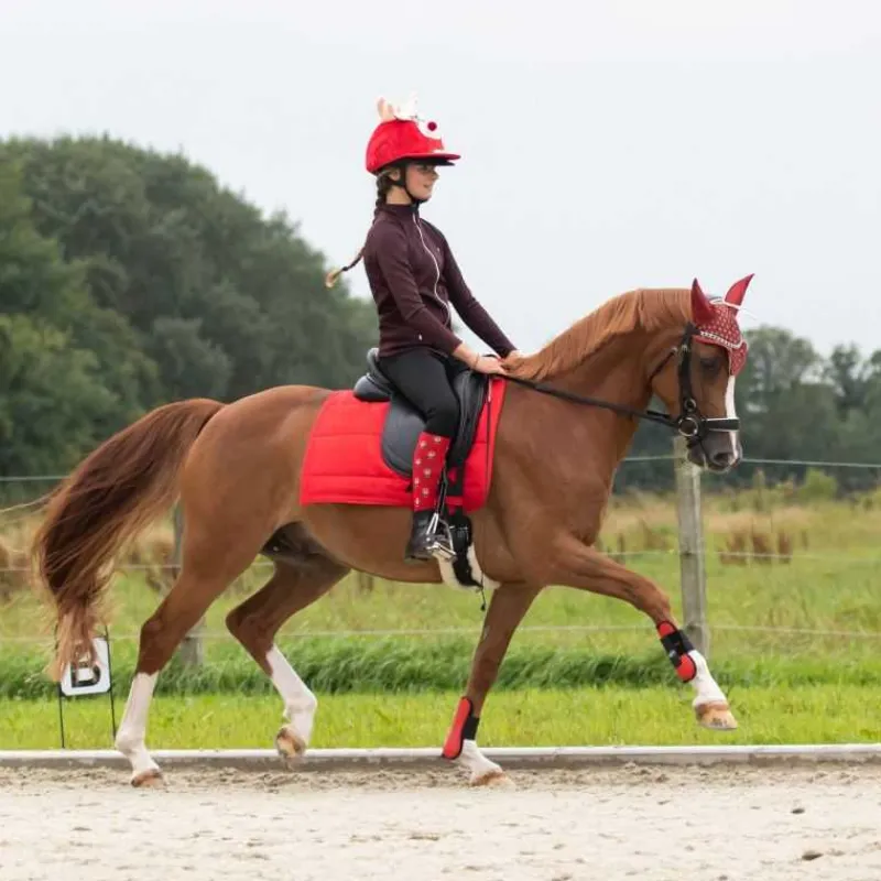 QHP Chaussettes Noël> Chaussettes D'Équitation