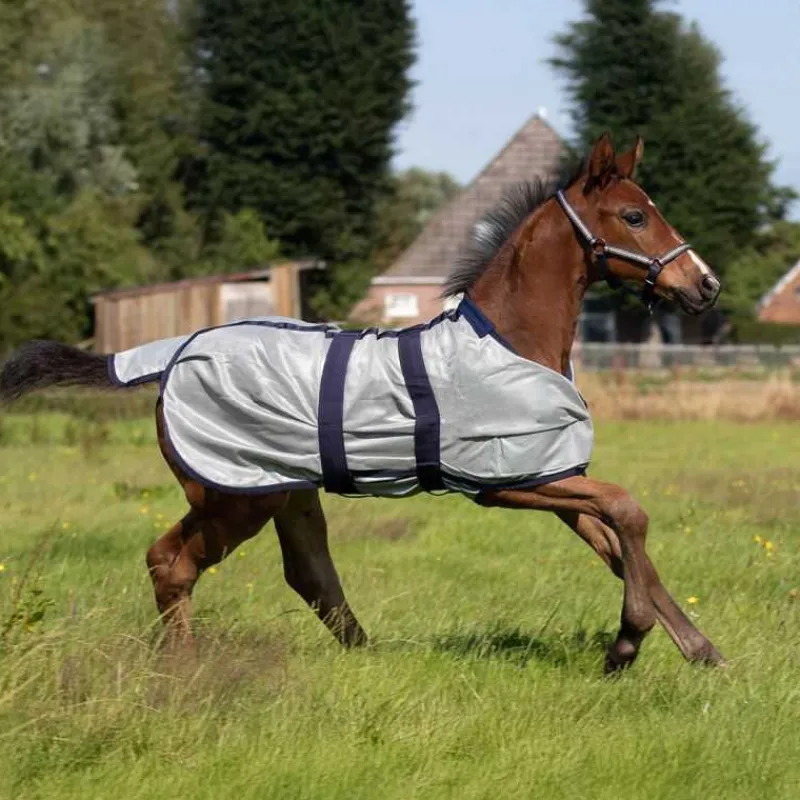 QHP Chemise anti-mouches poulain> Chemise Anti-Mouches