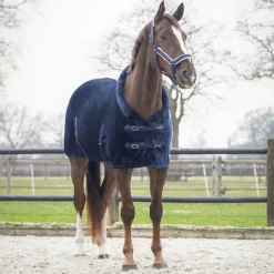 QHP Chemise de présentation Sensisoft><noscript><img data-lazyloaded=
