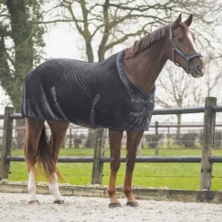 QHP Chemise de présentation Sensisoft><noscript><img data-lazyloaded=