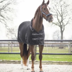 QHP Chemise de présentation Sensisoft><noscript><img data-lazyloaded=