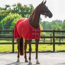 Q-ESSENTIALS Chemise Polaire Color><noscript><img data-lazyloaded=