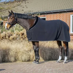 QHP Chemise polaire Salerno><noscript><img data-lazyloaded=