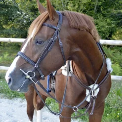 STATIONATA Collier de chasse 5 points mouton> Collier De Chasse