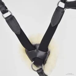 STATIONATA Collier de chasse 5 points mouton><noscript><img data-lazyloaded=