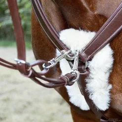 STATIONATA Collier de chasse 5 points mouton><noscript><img data-lazyloaded=