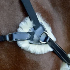 STATIONATA Collier de chasse 5 points mouton><noscript><img data-lazyloaded=