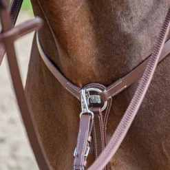 STATIONATA Collier de chasse 3 points> Martingale|Collier De Chasse