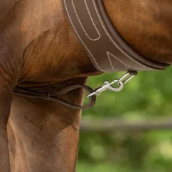 QHP Collier de chasse avec poignée><noscript><img data-lazyloaded=
