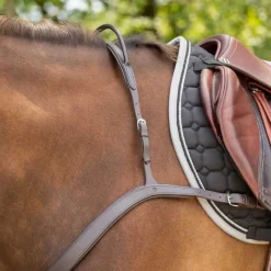 QHP Collier de chasse avec poignée><noscript><img data-lazyloaded=