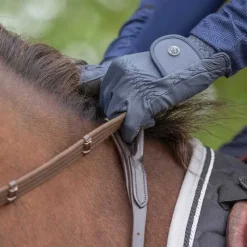 QHP Collier de chasse avec poignée><noscript><img data-lazyloaded=