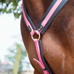 BIOTACK® Collier de chasse Biotack T de T><noscript><img data-lazyloaded=
