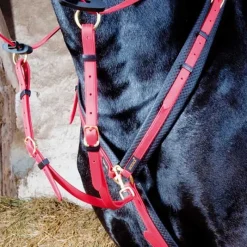 BIOTACK® Collier de chasse Biotack T de T><noscript><img data-lazyloaded=