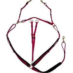 BIOTACK® Collier de chasse Biotack T de T><noscript><img data-lazyloaded=