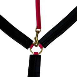 BIOTACK® Collier de chasse Biotack T de T><noscript><img data-lazyloaded=
