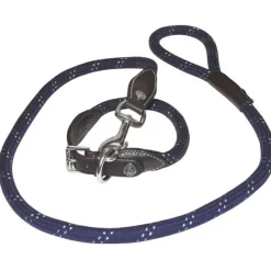 CANTER Collier pour chien corde><noscript><img data-lazyloaded=