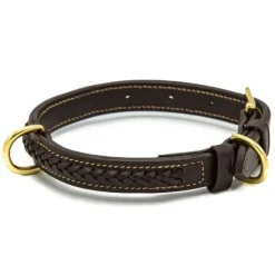 CHETAK Collier tressé pour grand chien><noscript><img data-lazyloaded=