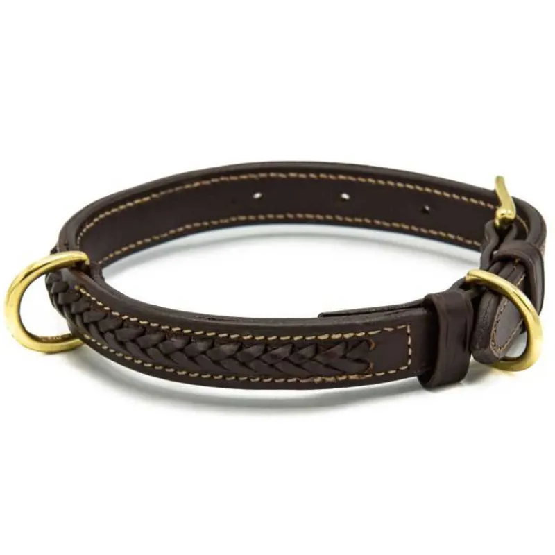 CHETAK Collier tressé pour petit chien> Le Chien