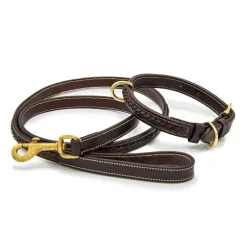CHETAK Collier tressé pour petit chien> Le Chien