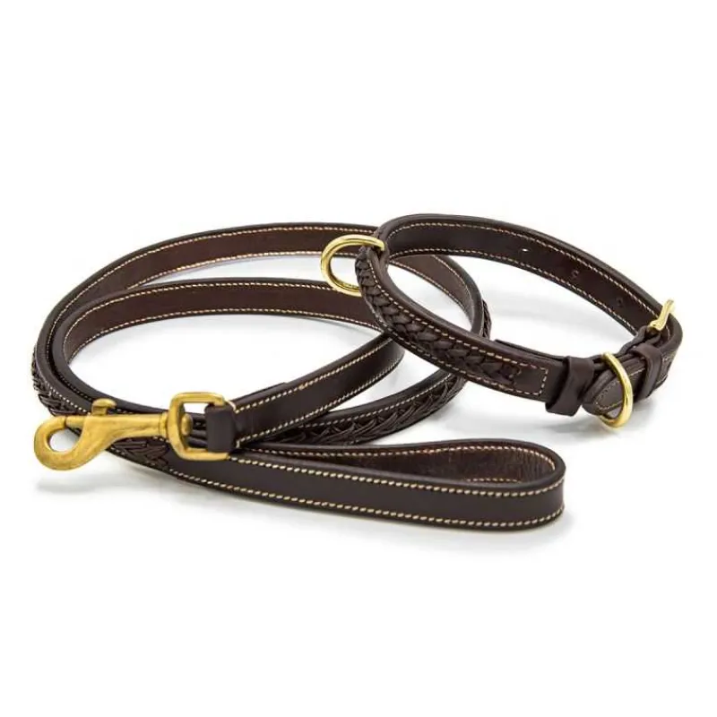 CHETAK Collier tressé pour petit chien> Le Chien