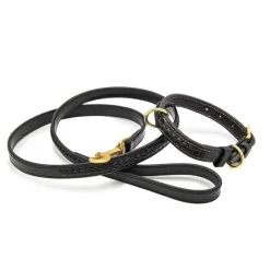 CHETAK Collier tressé pour petit chien><noscript><img data-lazyloaded=