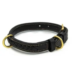 CHETAK Collier tressé pour petit chien><noscript><img data-lazyloaded=