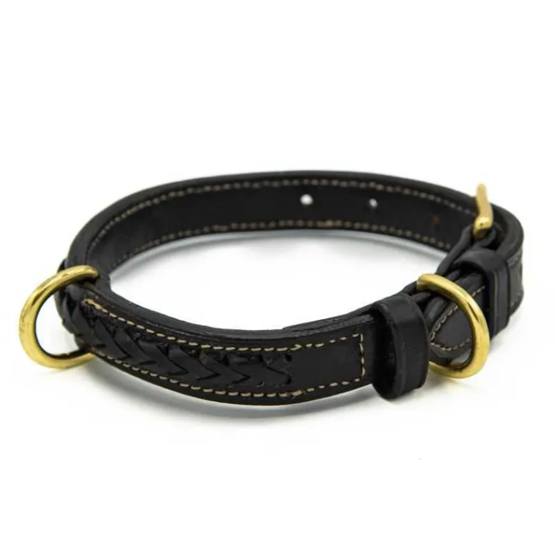CHETAK Collier tressé pour petit chien> Le Chien