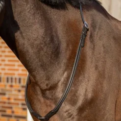 QHP Cordelette en cuir Liberta><noscript><img data-lazyloaded=
