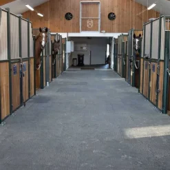 KRAIBURG BELMONDO Couloir d'écurie et douche Belmondo Walkpro><noscript><img width=
