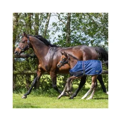 QHP Couverture extérieure foal 100gr><noscript><img data-lazyloaded=