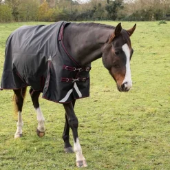 HORSE & GO Couverture imperméable 0g 1200D HORSE&GO> Couverture D'Extérieur|Chemise Imperméable