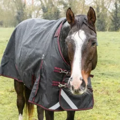 HORSE & GO Couverture imperméable 0g 1200D HORSE&GO><noscript><img data-lazyloaded=