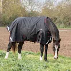 HORSE & GO Couverture imperméable 100g 1200D HORSE&GO> Couverture D'Extérieur