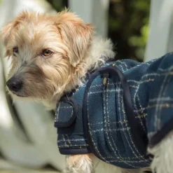 ESKADRON Couverture pour chien bouclée Heritage> Le Chien