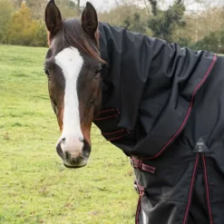 HORSE & GO Couvre-cou imperméable 100g HORSE&GO> Couvre-Cou Et Poitrinière|Couverture D'Extérieur