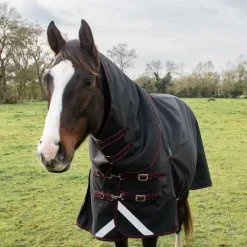 HORSE & GO Couvre-cou imperméable 100g HORSE&GO> Couvre-Cou Et Poitrinière|Couverture D'Extérieur