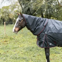 HORSE & GO Couvre-cou imperméable 100g HORSE&GO><noscript><img data-lazyloaded=