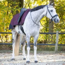 QHP Couvre-reins imperméable doublé polaire Collection><noscript><img data-lazyloaded=