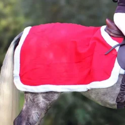 QHP Couvre-reins Noël><noscript><img data-lazyloaded=