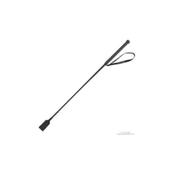 T de T Cravache club TdeT><noscript><img data-lazyloaded=