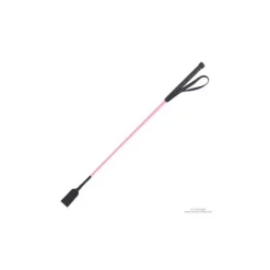 T de T Cravache club TdeT><noscript><img data-lazyloaded=
