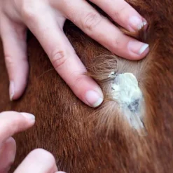 RAVENE Derma protec> Soins Pour La Peau|Plaie Et Cicatrisation